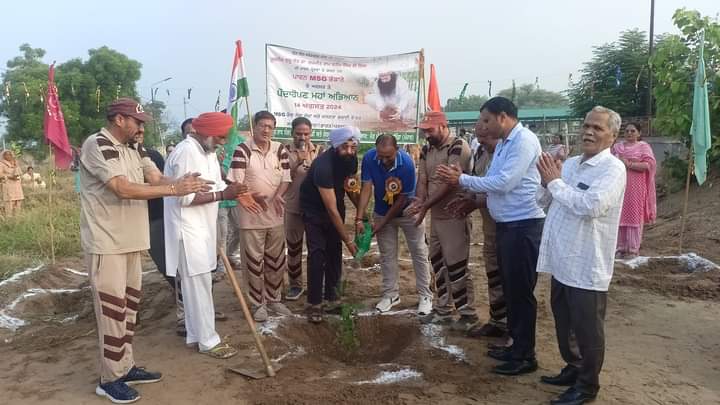 Plant new plants